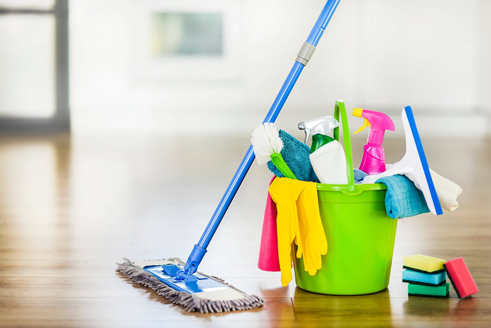 Premium Carpet Steam Cleaning